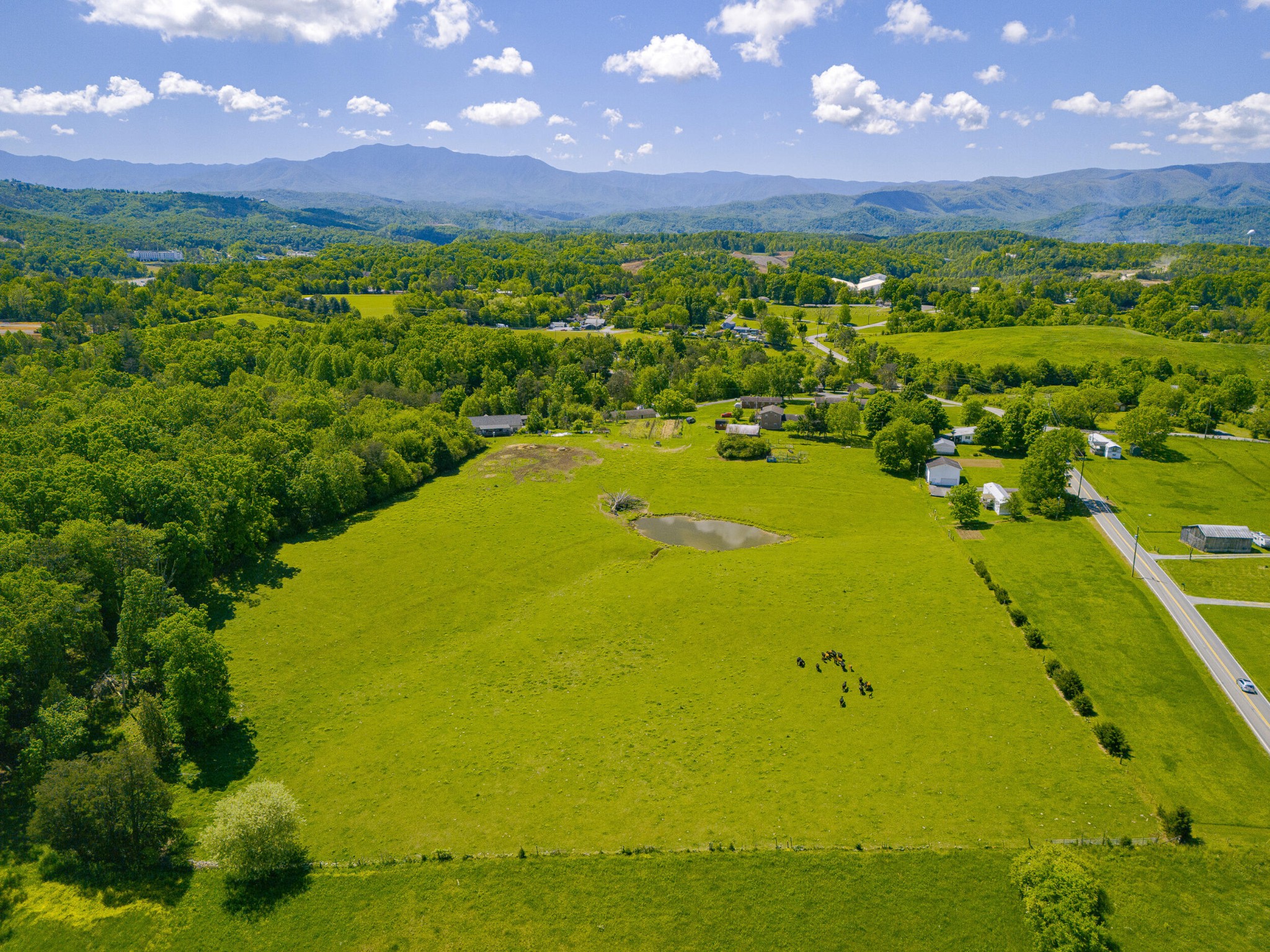 1689 Ridge Road Sevierville, TN 37862 - Photo 54 of 61