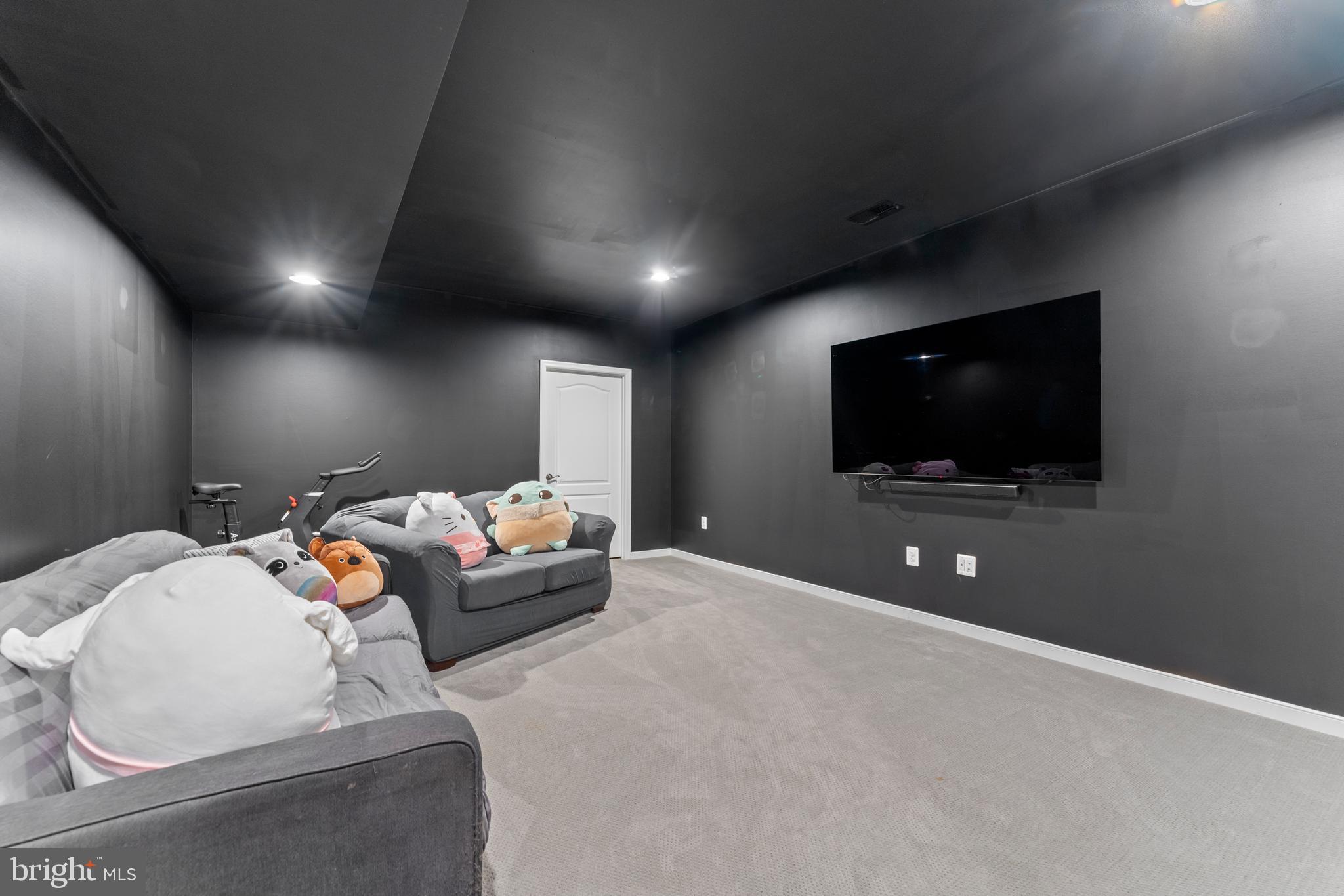 80 Shackelford Well Road Fredericksburg, VA 22406 - Photo 68 of 108 Basement theatre room