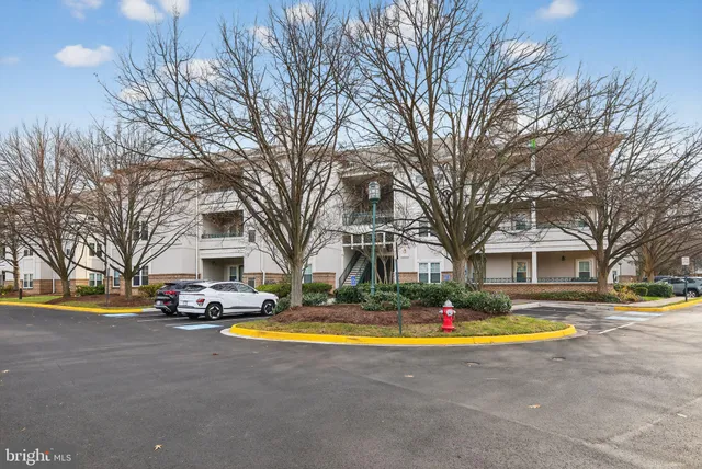 a view of road with yard and trees