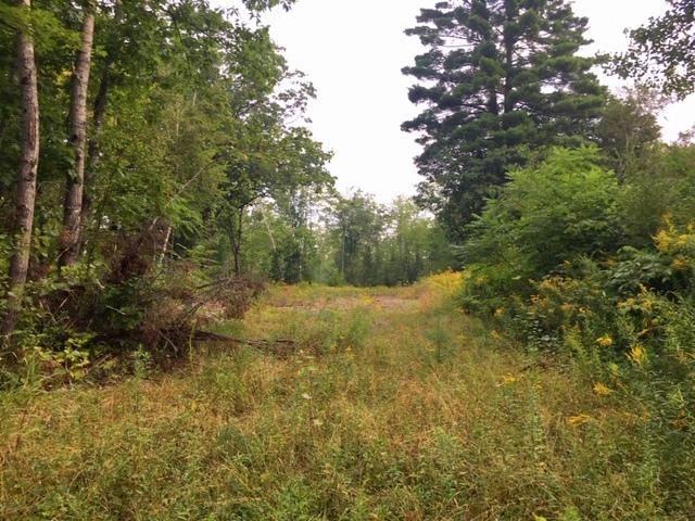 Tbd Farmington Falls Road New Sharon, ME 04955 - Photo 1 of 6 Lot