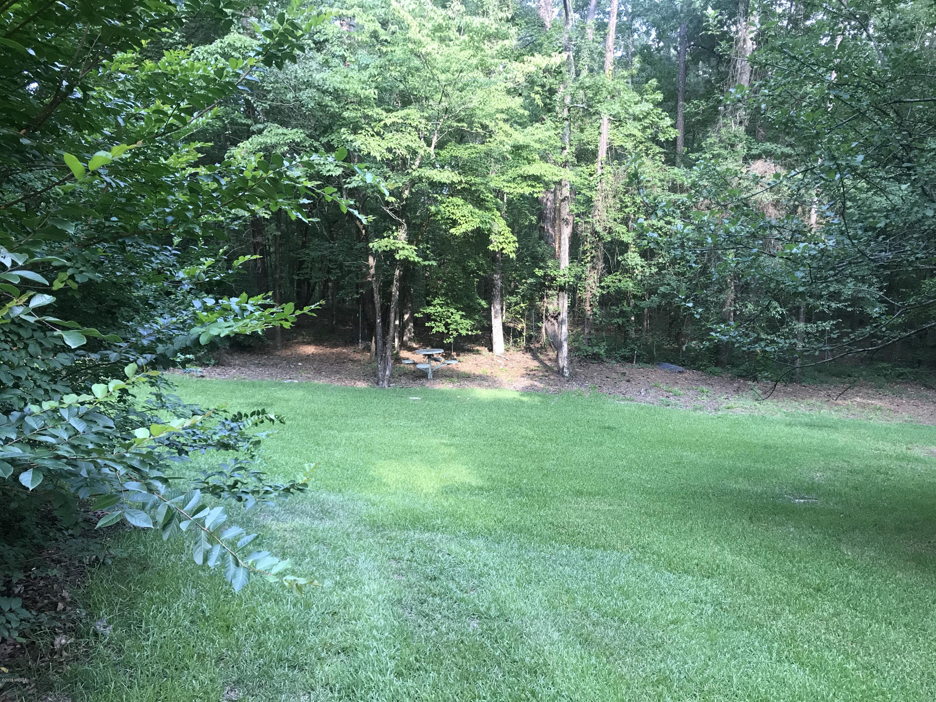 1569 Johnson Road Macon, GA 31220 - Photo 19 of 28 a view of a backyard with a slide