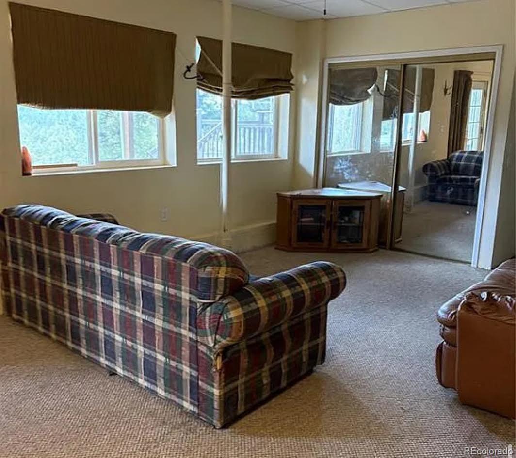 3647 Pathfinder Road, Unit B Florissant, CO 80816 - Photo 12 of 16 Gallery Image 12