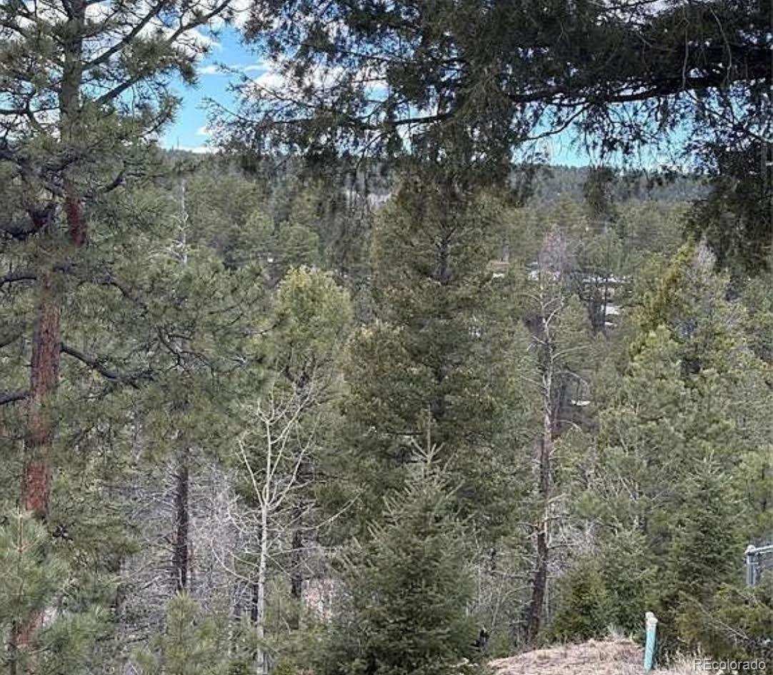 3647 Pathfinder Road, Unit B Florissant, CO 80816 - Photo 14 of 16 Gallery Image 14