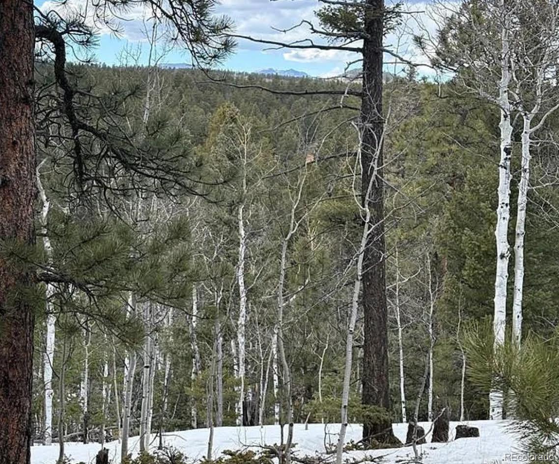 3647 Pathfinder Road, Unit B Florissant, CO 80816 - Photo 15 of 16 Gallery Image 15