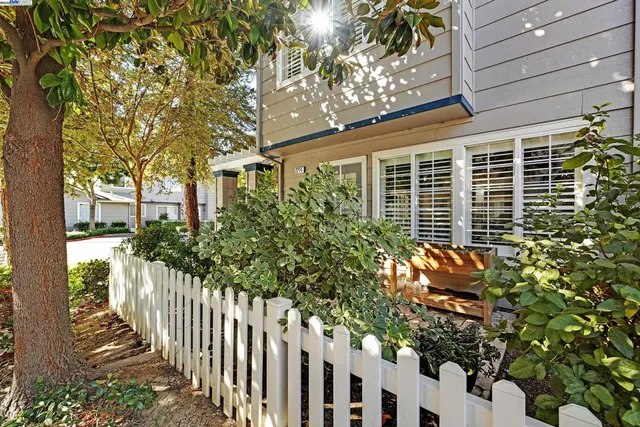 a front view of a house with a tree