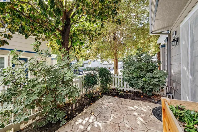 a view of small yard with plants and trees