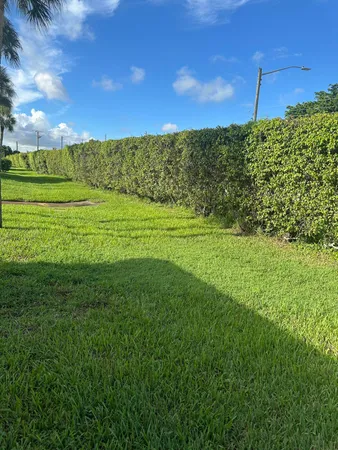 a view of a field with an trees