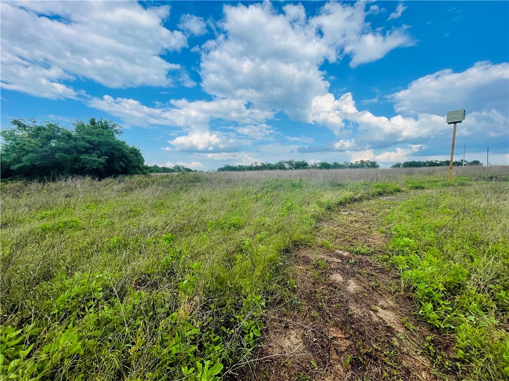 1692 Henry Prairie Road Franklin, TX 77856 - Photo 30 of 42