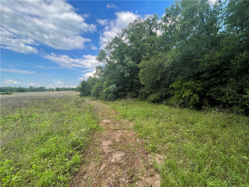 1692 Henry Prairie Road Franklin, TX 77856 - Photo 32 of 42