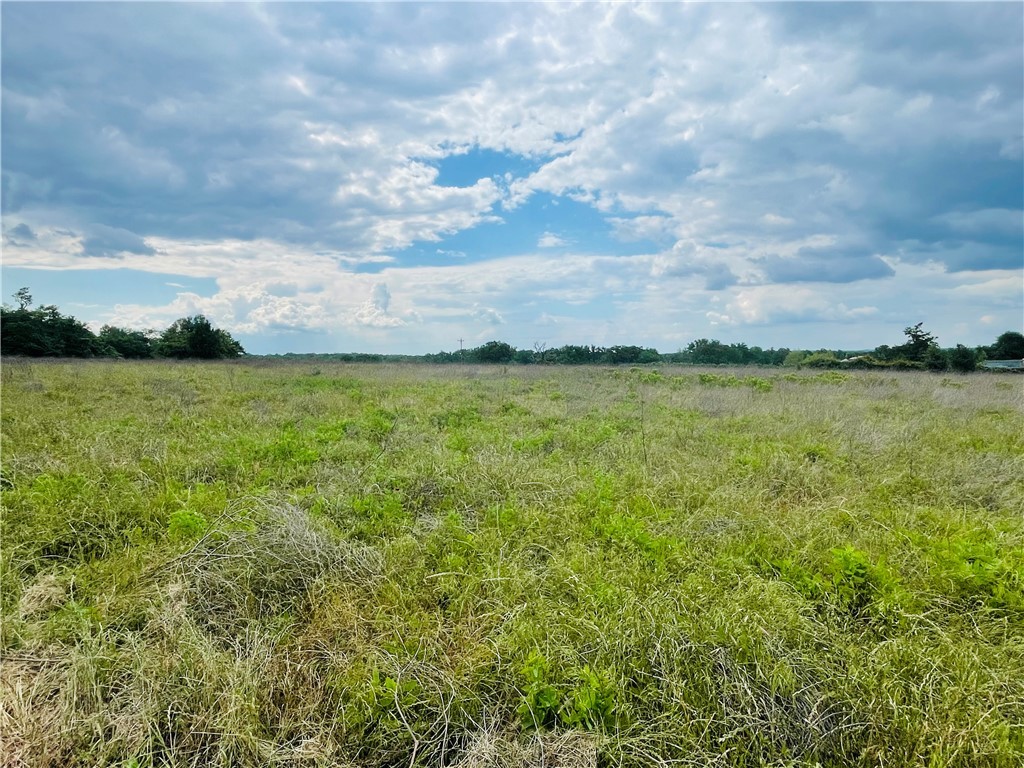 1692 Henry Prairie Road Franklin, TX 77856 - Photo 35 of 42