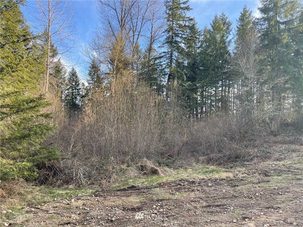 813 Tipsoo Loop South Rainier, WA 98576 - Photo 30 of 37