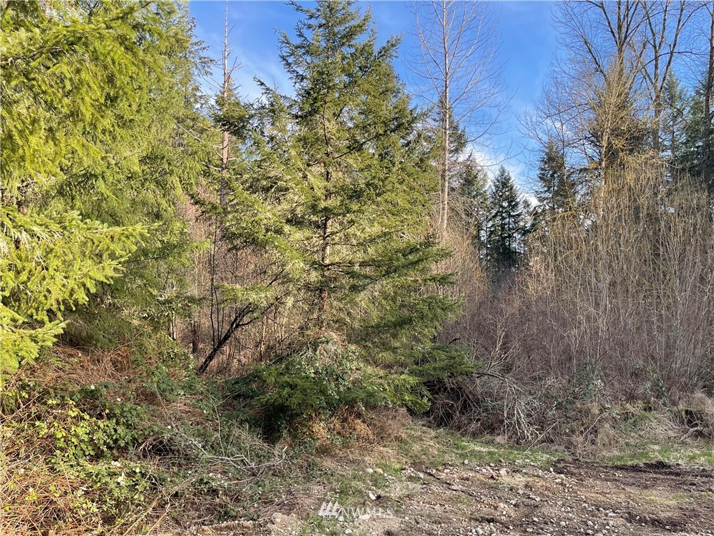 813 Tipsoo Loop South Rainier, WA 98576 - Photo 31 of 37