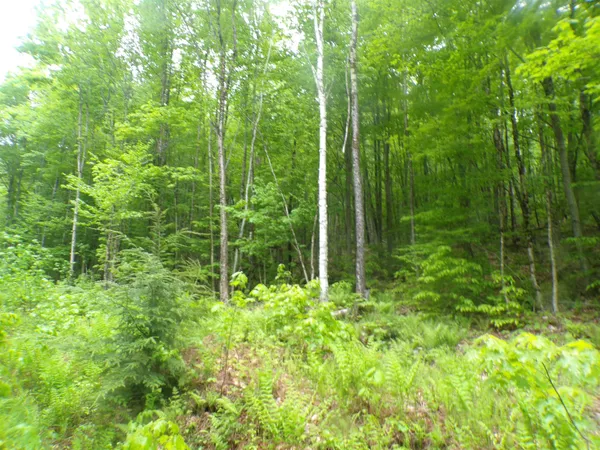 $349,000 | 0 Foliage Lane, Unit 1, Orleans, VT 05860
