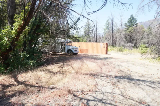 a view of yard with tree in the background