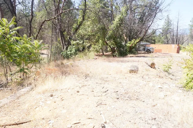 a view of snow on the road