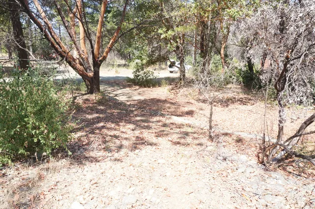 a view of snow in between the trees