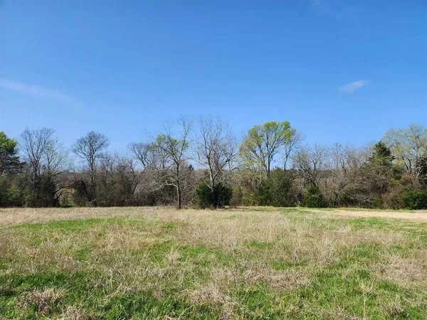 a view of a with large trees