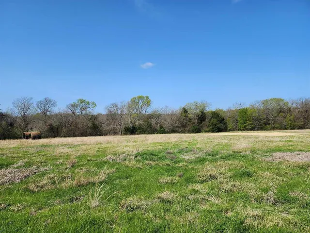 a view of an outdoor space and a yard