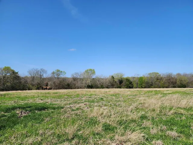 a view of a field with trees and grass