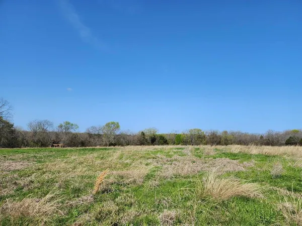 a view of a field with an trees