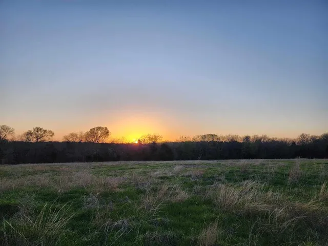 a view of an outdoor and a yard