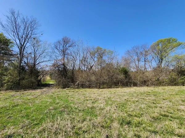 a view of a field with trees in the background