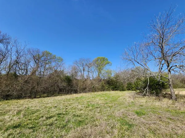 a view of a yard