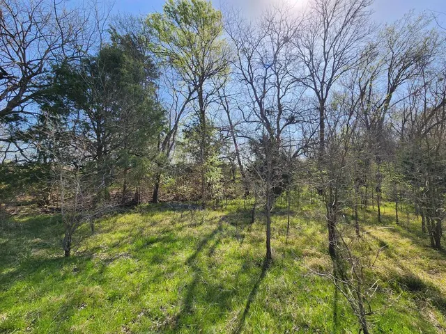 a backyard of a building with large trees