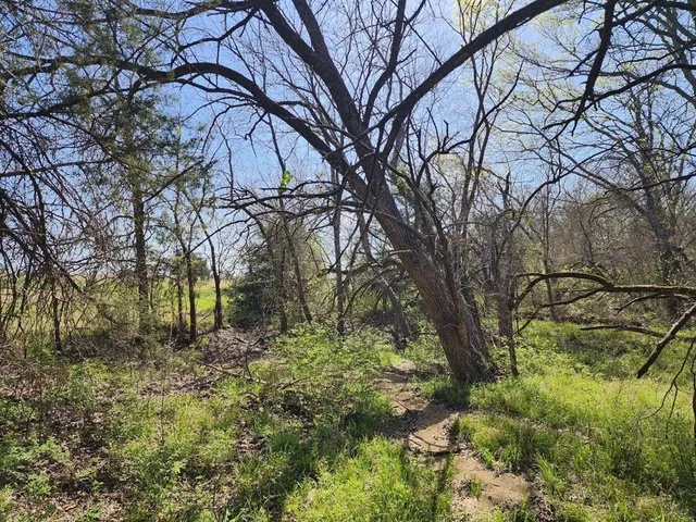 a backyard of a house with lots of green space