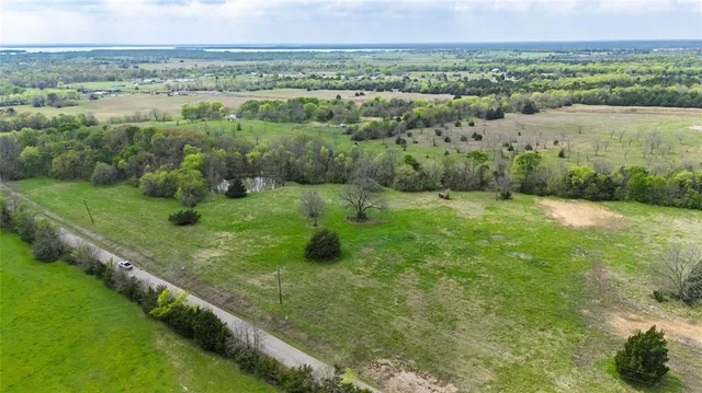 a view of a lush green forest with lots of trees