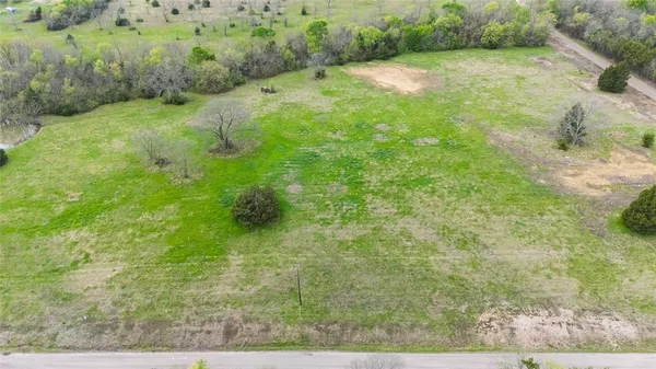 a view of a yard with a tree