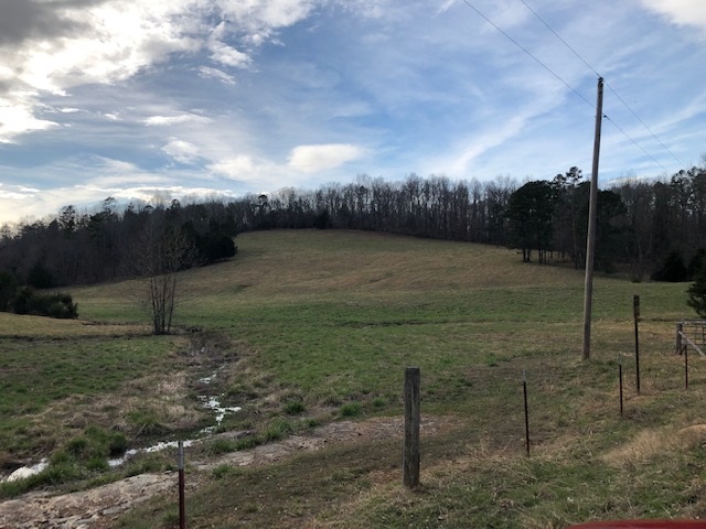 0 Hardin Creek Road Clifton, TN 38425 - Photo 1 of 21 Gallery Image 1