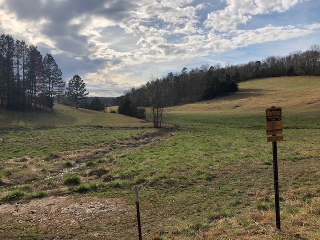 0 Hardin Creek Road Clifton, TN 38425 - Photo 13 of 21 Gallery Image 13