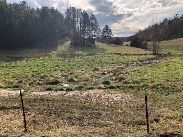 0 Hardin Creek Road Clifton, TN 38425 - Photo 14 of 21 Gallery Image 14