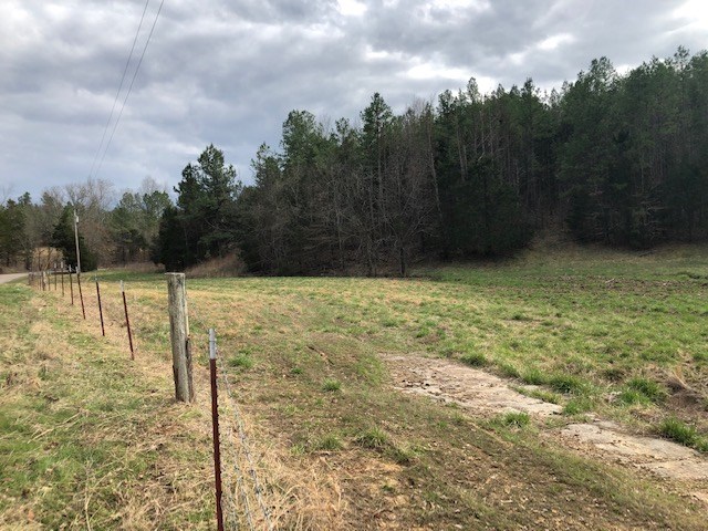 0 Hardin Creek Road Clifton, TN 38425 - Photo 15 of 21 Gallery Image 15