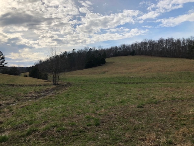 0 Hardin Creek Road Clifton, TN 38425 - Photo 16 of 21 Gallery Image 16