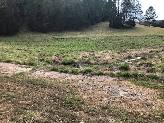 0 Hardin Creek Road Clifton, TN 38425 - Photo 17 of 21 Gallery Image 17