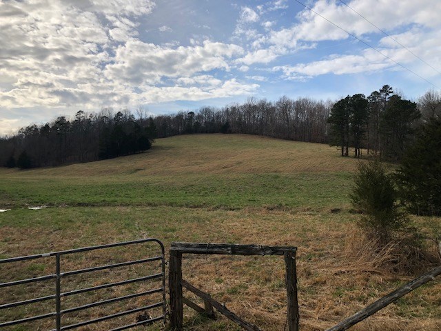 0 Hardin Creek Road Clifton, TN 38425 - Photo 18 of 21 Gallery Image 18