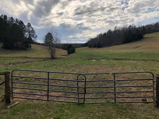 0 Hardin Creek Road Clifton, TN 38425 - Photo 19 of 21 Gallery Image 19