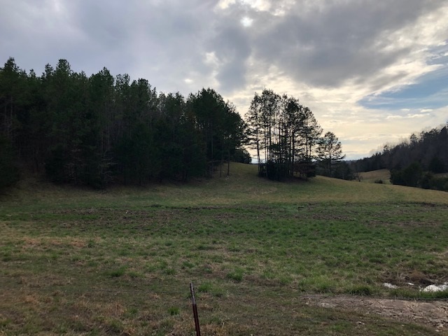 0 Hardin Creek Road Clifton, TN 38425 - Photo 2 of 21 Gallery Image 2