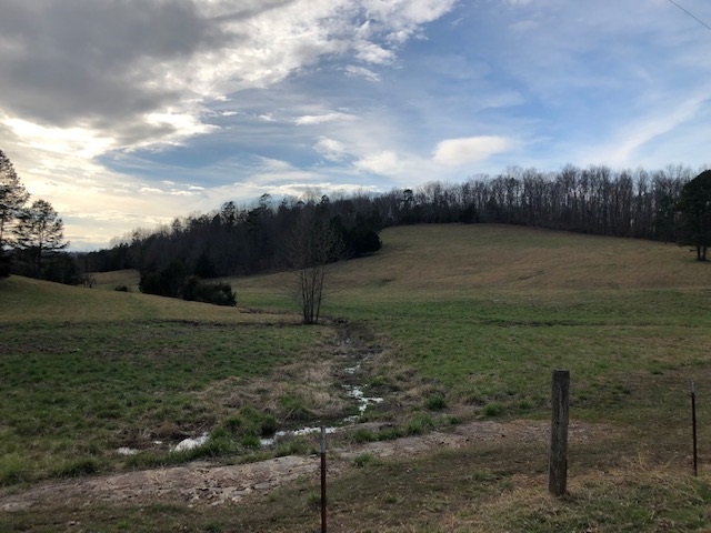 0 Hardin Creek Road Clifton, TN 38425 - Photo 3 of 21 Gallery Image 3