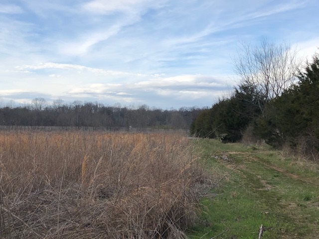0 Hardin Creek Road Clifton, TN 38425 - Photo 4 of 21 Gallery Image 4