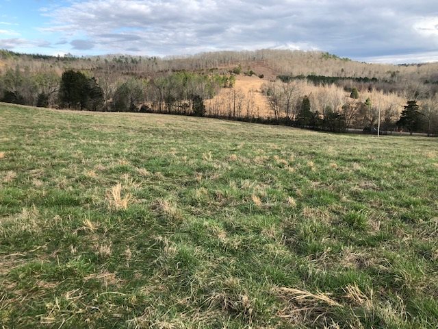 0 Hardin Creek Road Clifton, TN 38425 - Photo 7 of 21 Gallery Image 7