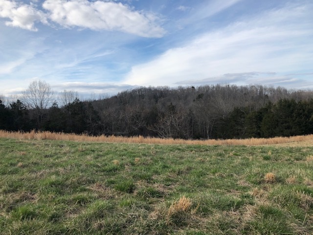 0 Hardin Creek Road Clifton, TN 38425 - Photo 9 of 21 Gallery Image 9