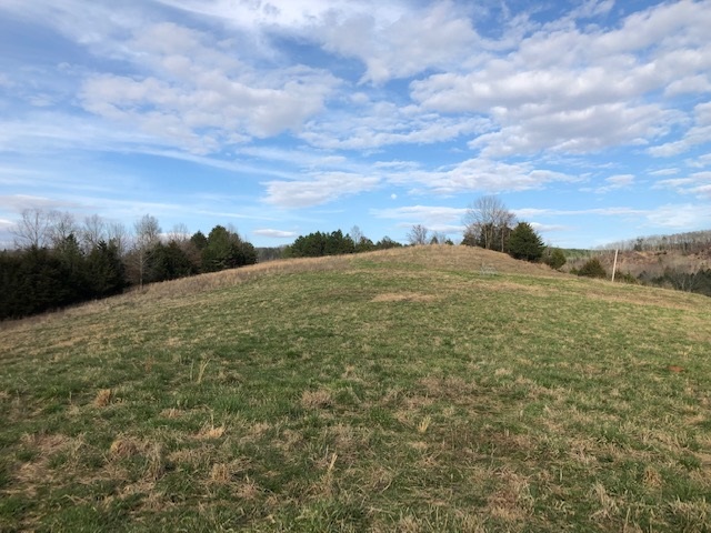 0 Hardin Creek Road Clifton, TN 38425 - Photo 10 of 21 Gallery Image 10