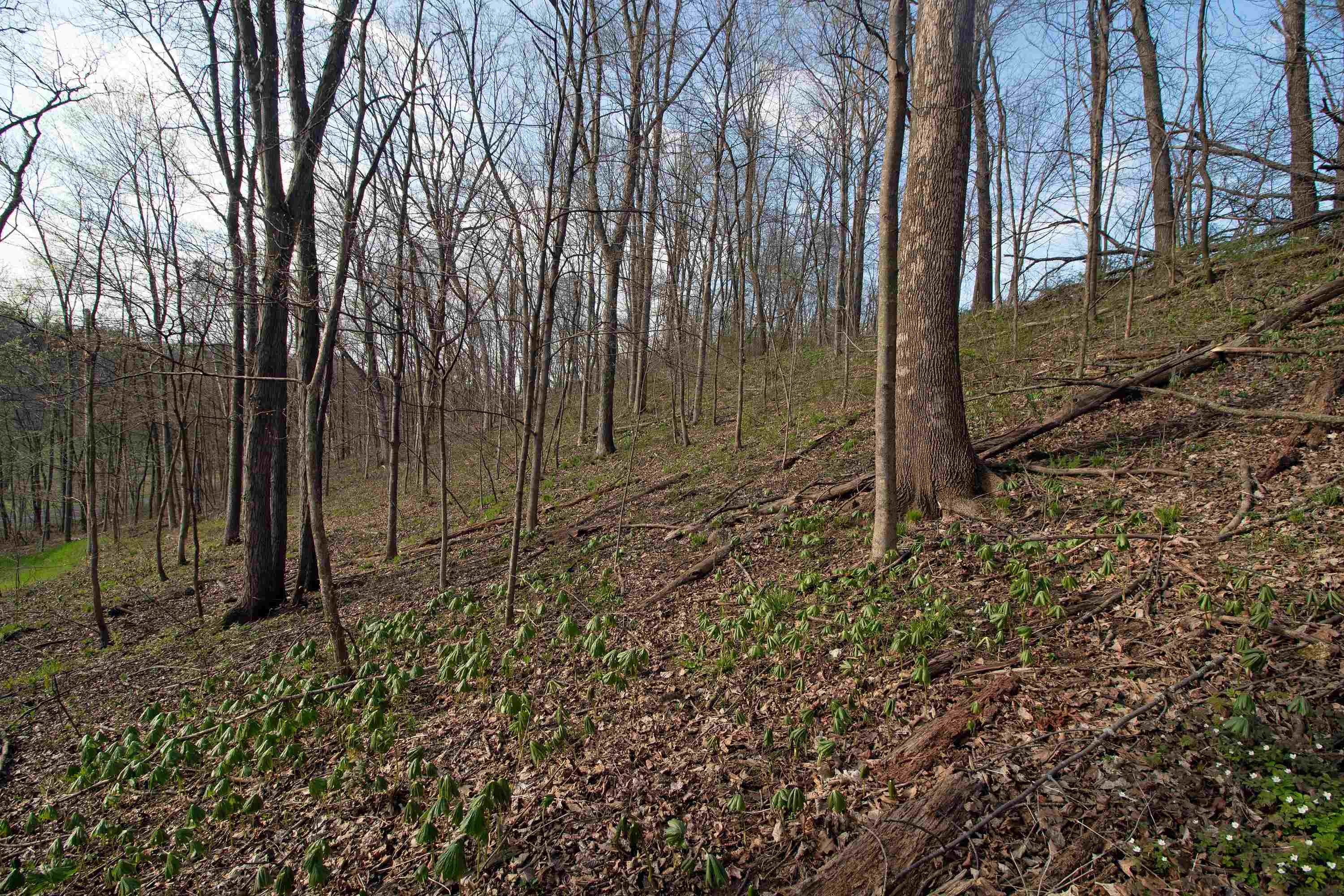 S8642 County Road North Plain, WI 53577 - Photo 26 of 36