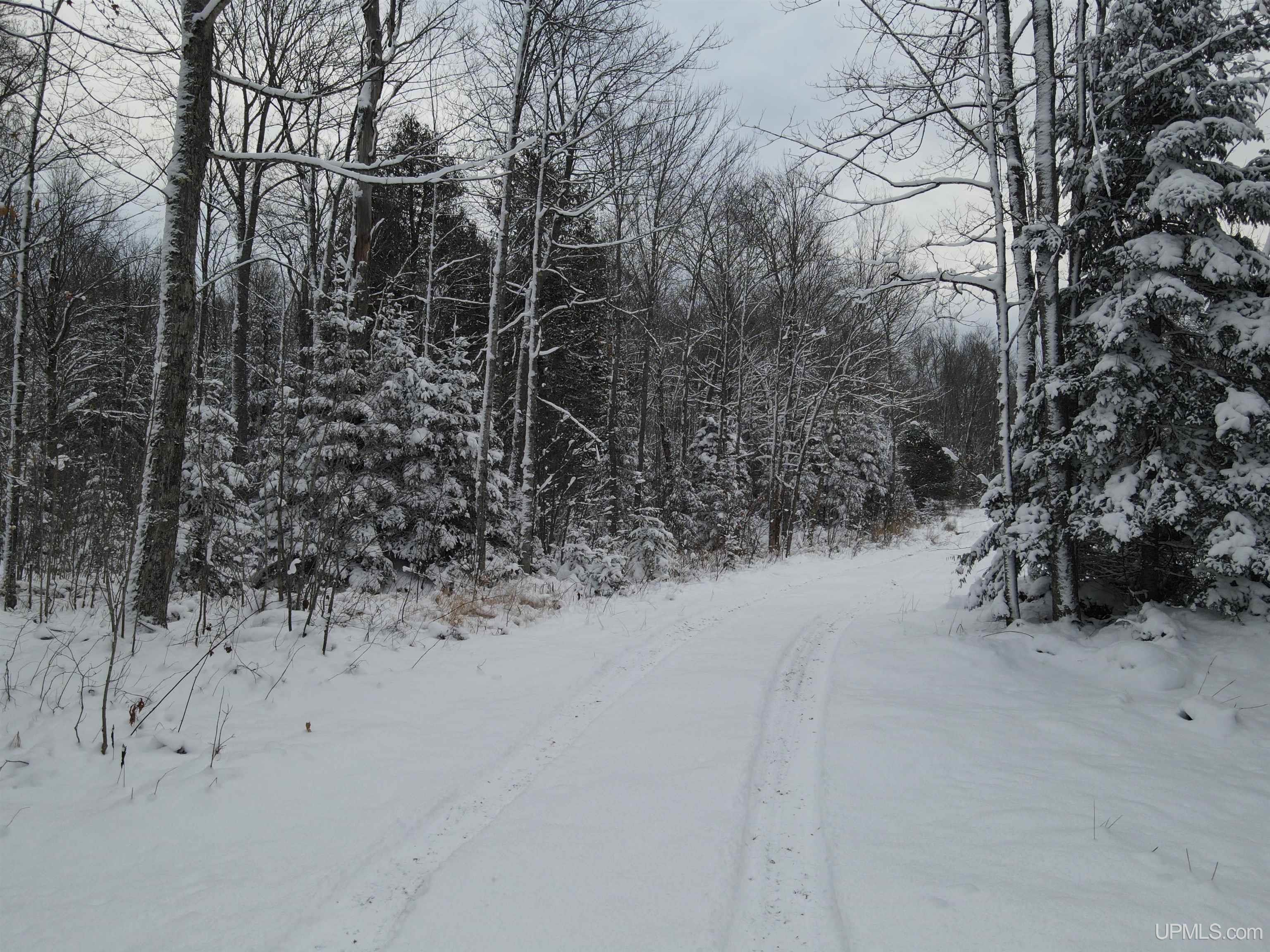 80-acr 80-acr Ford Road Watton, MI 49970 - Photo 11 of 17