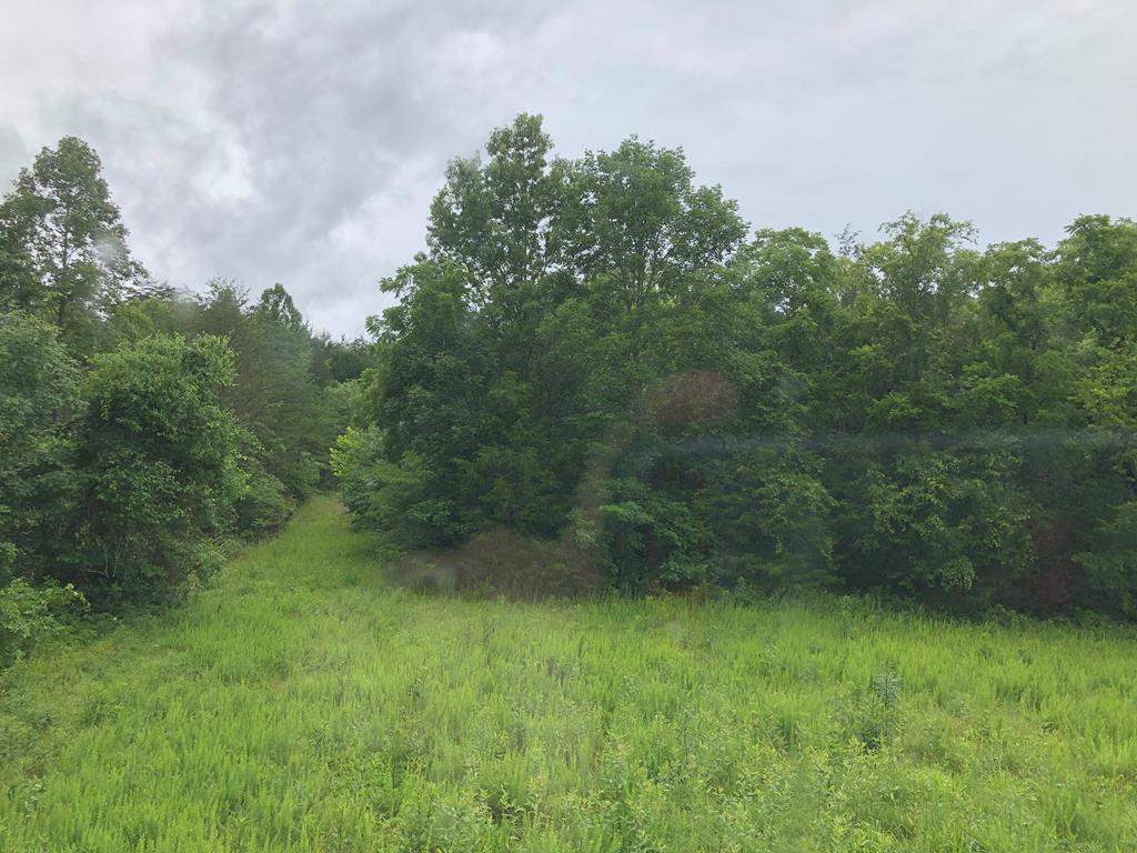 3737 Chestnut Grove Road Columbia, KY 42728 - Photo 15 of 20 Gallery Image 15