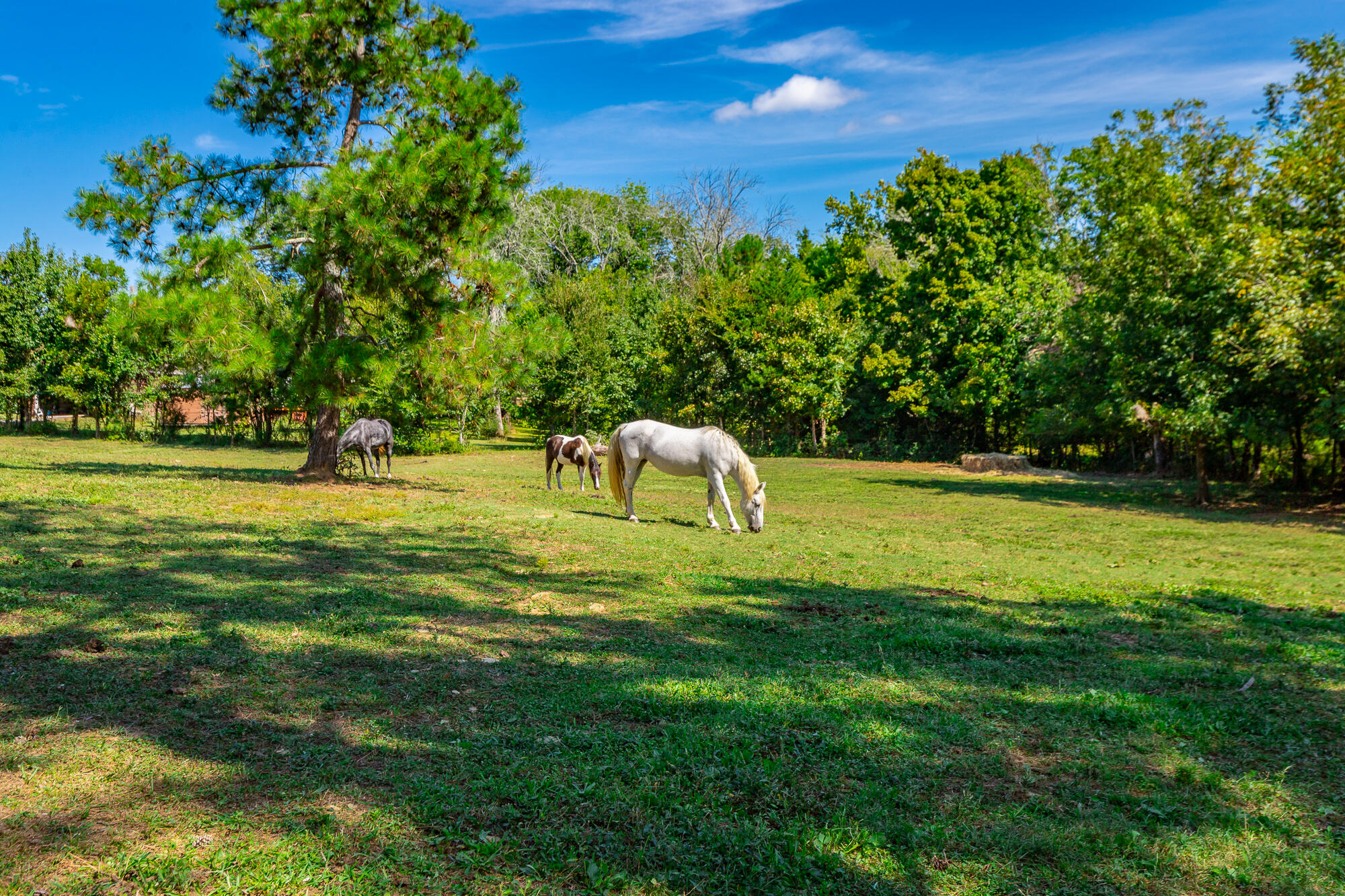 3481 Post Oak Road Ringgold, GA 30736 - Photo 81 of 112 3481 Post Oak Road HD-123