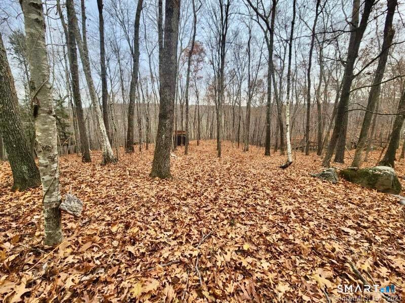49 Cards Mill Road Columbia, CT 06237 - Photo 10 of 32